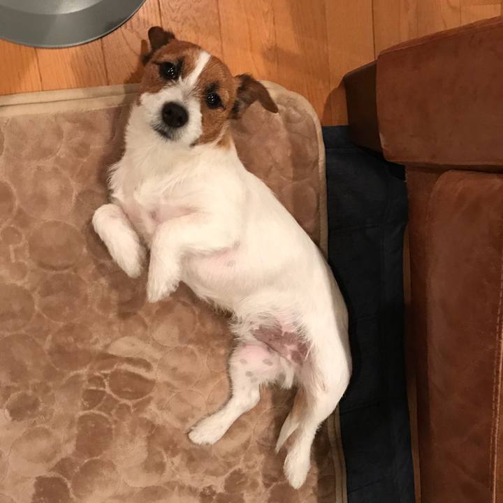 2ab8e2c0 e2c2 42ca b6ed e24a387e3105