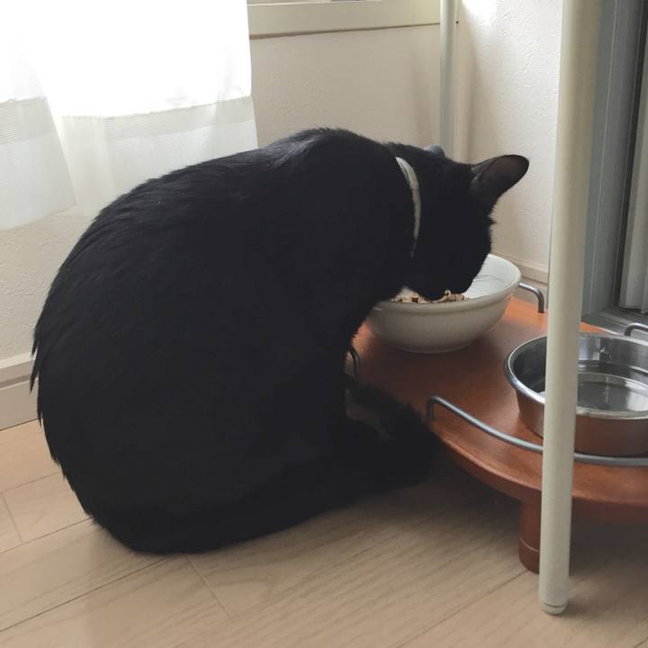 2ab8fd74 62e5 4713 890a 616b9299374d