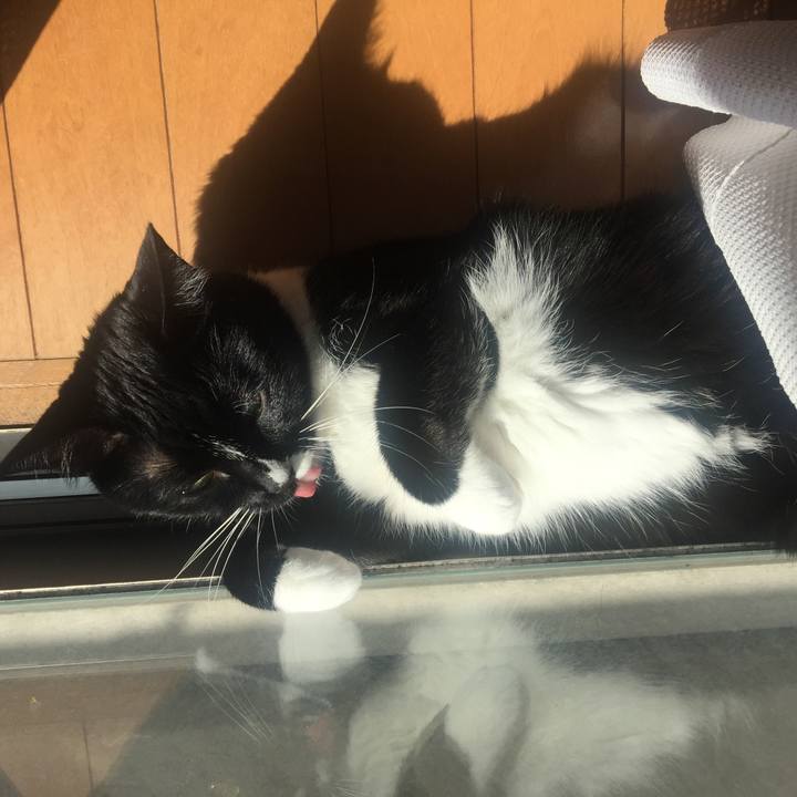 2ab91d2b cd1b 4166 91c0 a4f61d8941e2