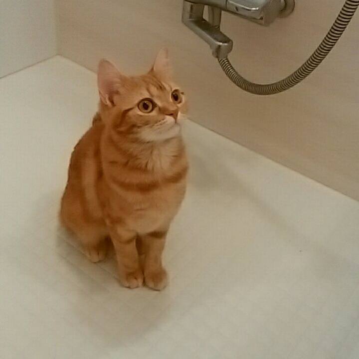 2ab98fa5 9a04 4300 ba7c 9e5dc37e8ef8