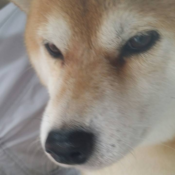 2ab9a8ae 6931 43c5 8cc3 7e1859239a9d