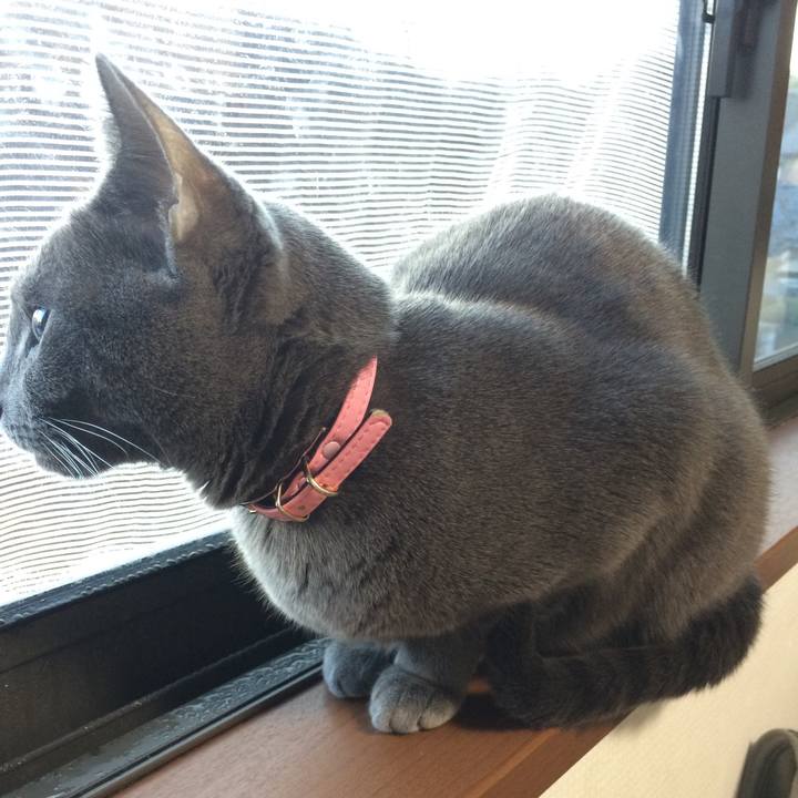 2ab9c44d d2d5 4cbf a4e1 e4d5cdbd2c50