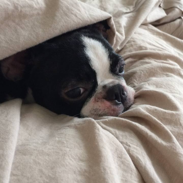 2aba03cc 997f 43f0 b3bf 4b87ab6df0ae