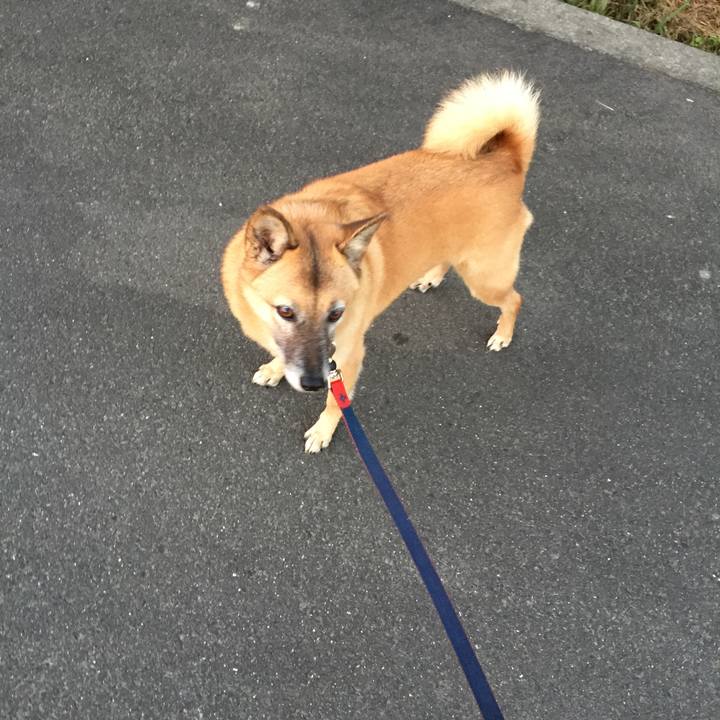 2aba0acd 78ea 4426 b7b9 d86f16bf9fb9