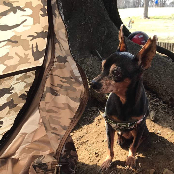 2aba4b06 bcc3 47c2 9e43 970379a8aa20