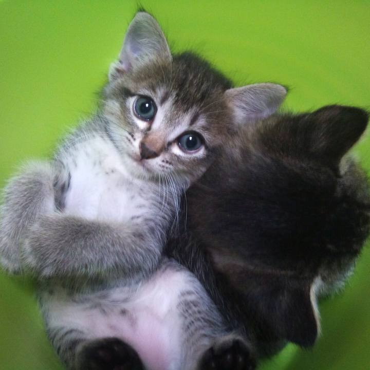 2aba76c4 795a 4cae a36e 23bbeb61b3db