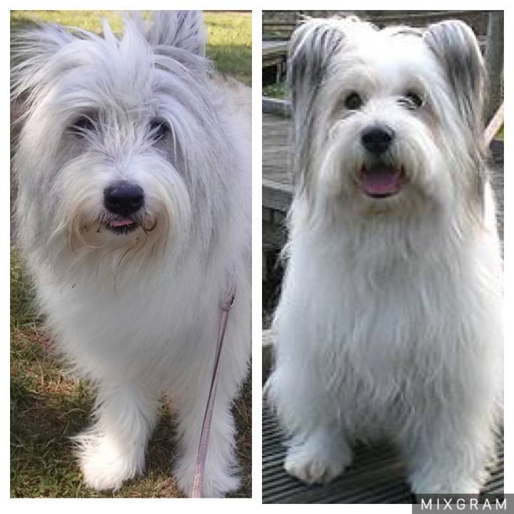 2abad02c af51 4529 9e2c d9ac524bfd0b