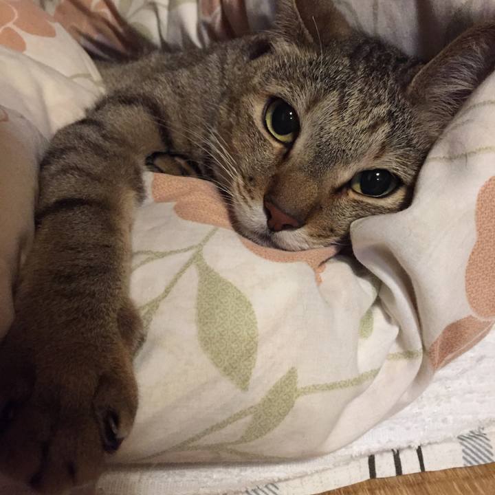 2abbce97 eb10 4e8a a953 f6485f4f09ec