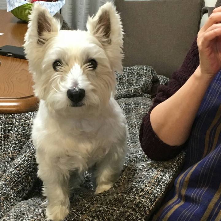 2abc07e7 88a2 424a bacc ae11d55dddf2