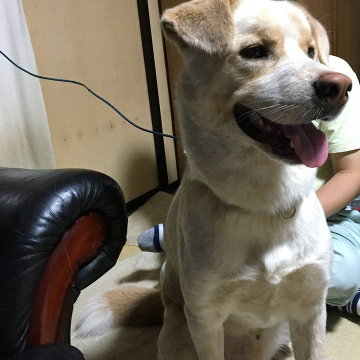 2abc3635 9434 499d 827b ee7282a9b6fb