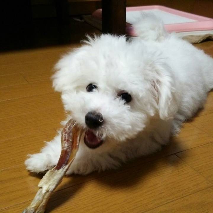 2abc747a 36ab 4c61 8157 e8b498c96bd2