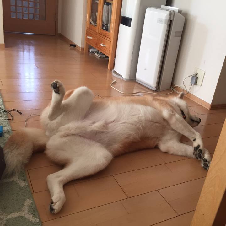 2abf0961 6d48 4a0c 9a7c 04cff5c999d5