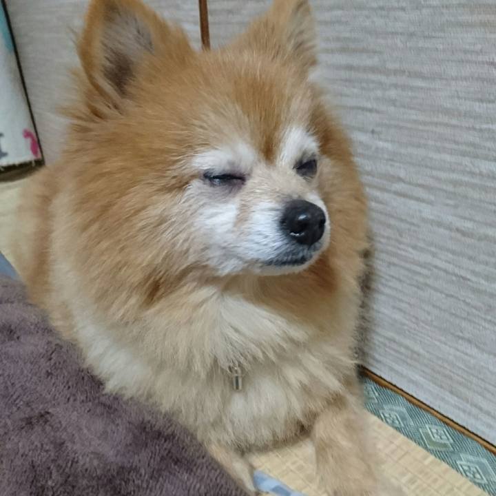 2abf28d9 833e 4929 bb48 61f60b755a5f