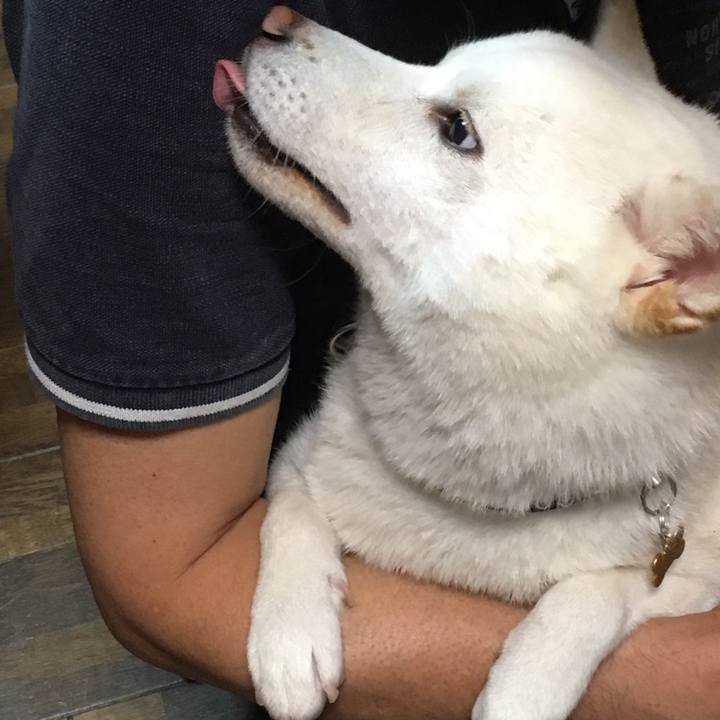 2abf9640 9c96 4cbb afc6 21db01b25c25