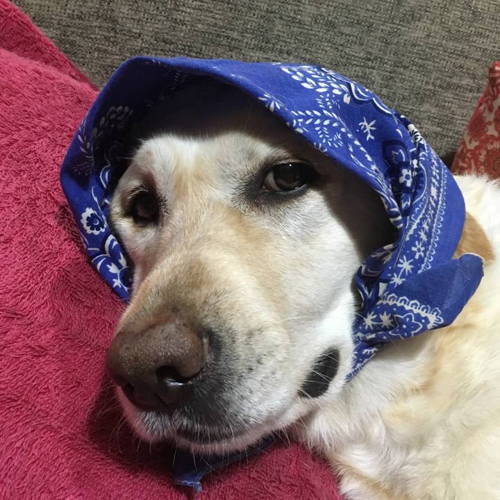 2ac01d46 cecb 4c31 9ffe ffa2f4259d93