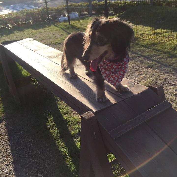 2ac04613 c0ca 4618 a7c3 b35f59b54d2a