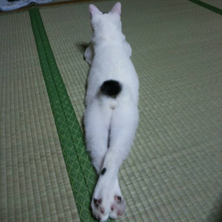 2ac08369 b3d3 459d 92e0 89881f0287ed