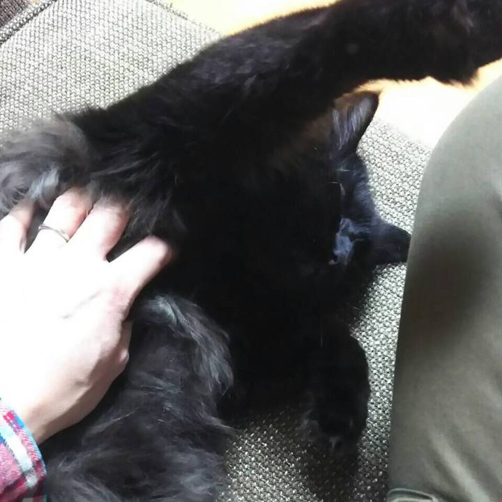 2ac121f1 7db4 41be 9aec 6db307a9b29f