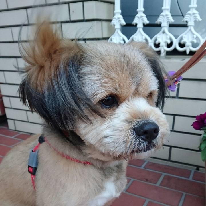 2ac13007 5f10 4a85 ba11 73ffc826791e