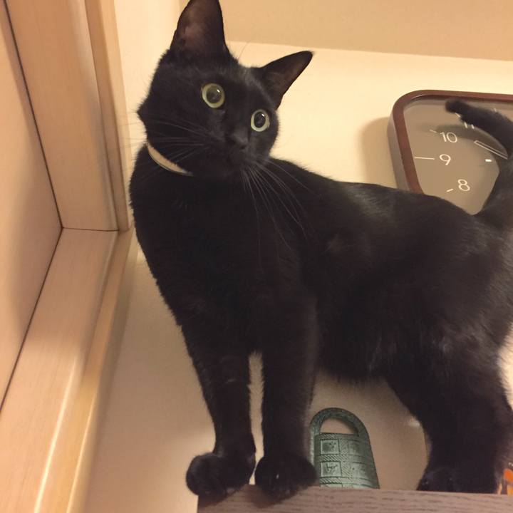 2ac17175 a435 48be a533 adb2d83b2822