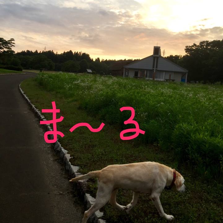 2ac17a83 13ad 4f81 a6a9 eca7375c387d