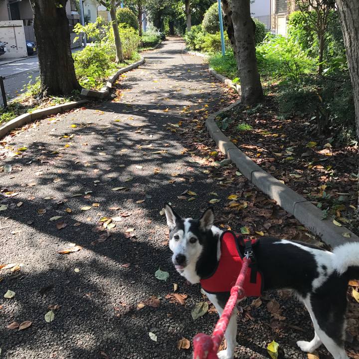 2ac1a19b b703 47d7 9f69 580c8873baf7