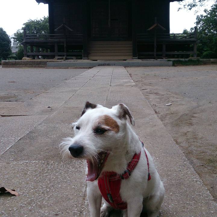 2ac1e589 4e39 4124 9271 3c170926e3af