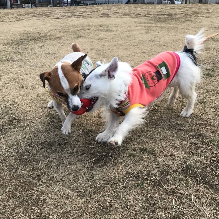 2ac2f035 41ac 44b7 8993 c3eea4e91956