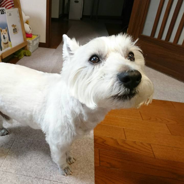 2ac2ff72 2e61 4145 9a45 f7198985f1f7