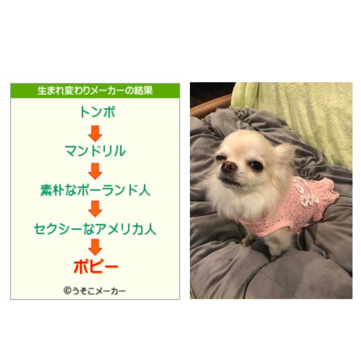 2ac31b69 262f 43c9 9736 cfb79a639417