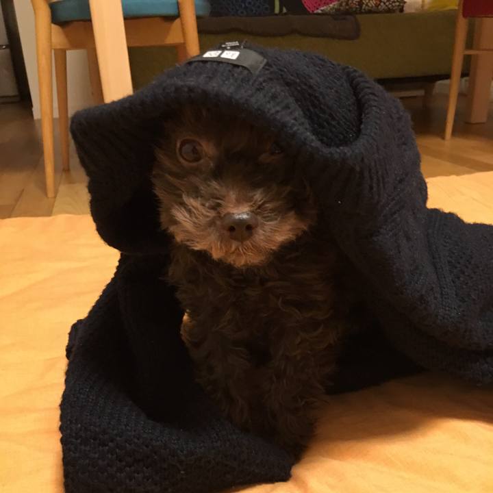 2ac38991 48fd 4653 845a f6433413c7cf