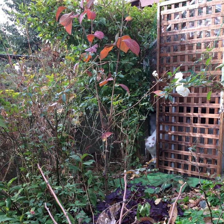 2ac424fc 6fa9 4d5e 9d20 30ef0c897092