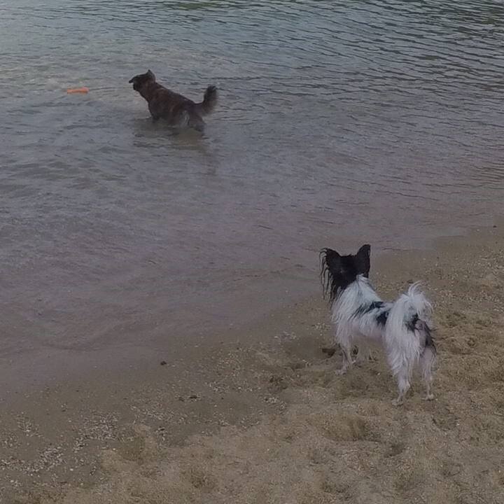 2ac44f35 ae99 4239 ace2 299dbb34e370