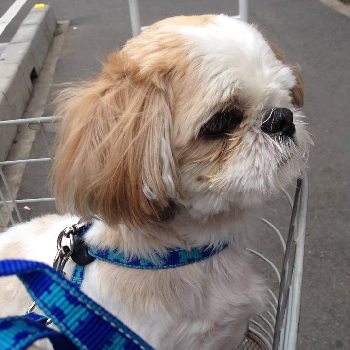 2ac4b56d 2fca 46a5 946d 830402e187fd