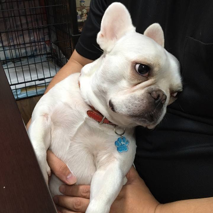 2ac4ef13 8089 4369 b56d 7e9ed71c832b