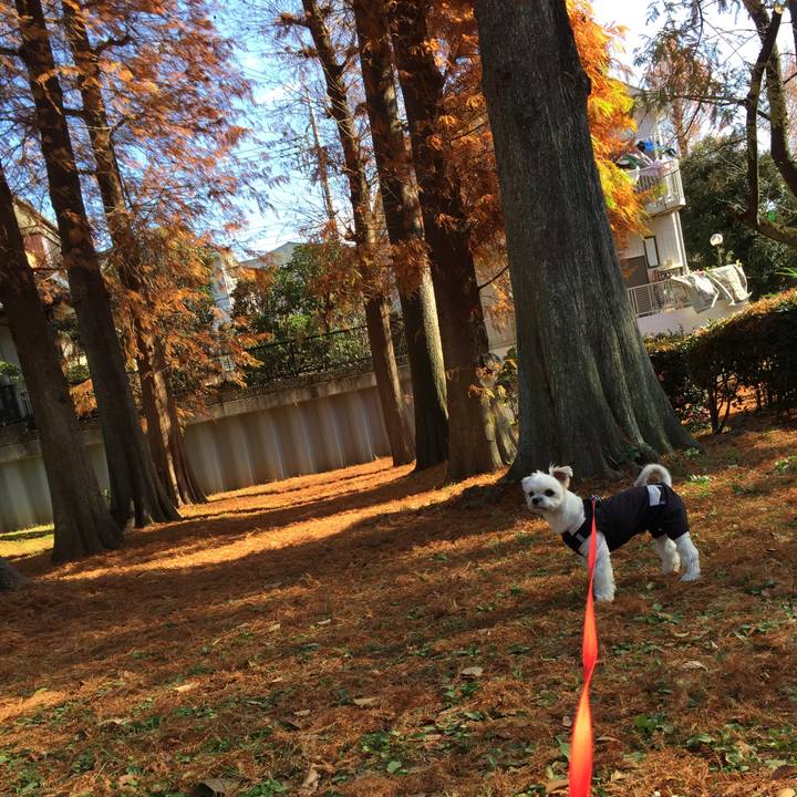 2ac4fd59 8dc1 45f9 985d b98420a7a5ee