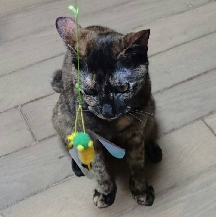 2ac54e60 6b08 4854 935b 045d13519120