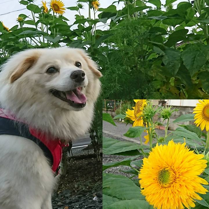 2ac56499 9e6a 41dc 8a14 95bbe6f35199