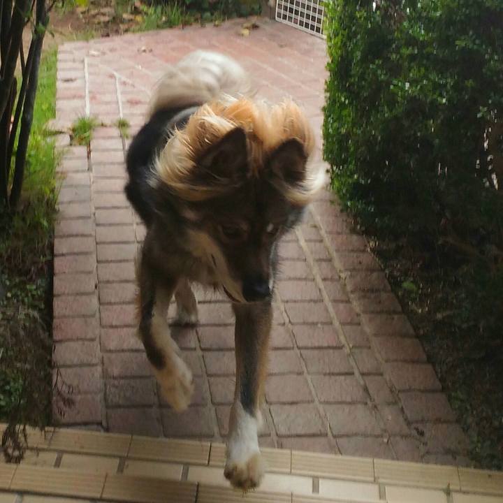 2ac5840f 4326 431c 8500 e58c971297ae