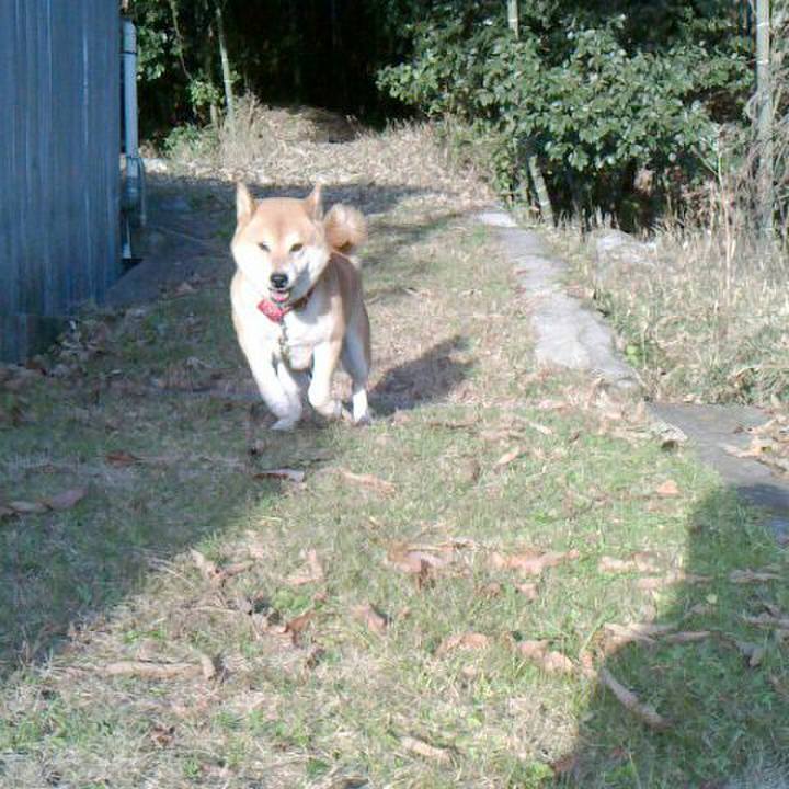 2ac5de15 c82d 4e79 99fc 5266f36ec975