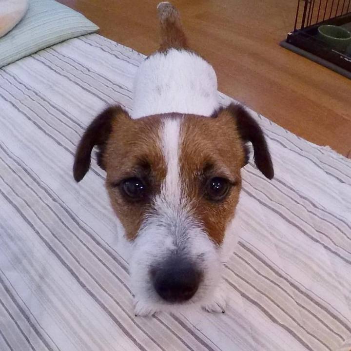 2ac6d5c9 ba08 4cea 8782 a489c1edc382