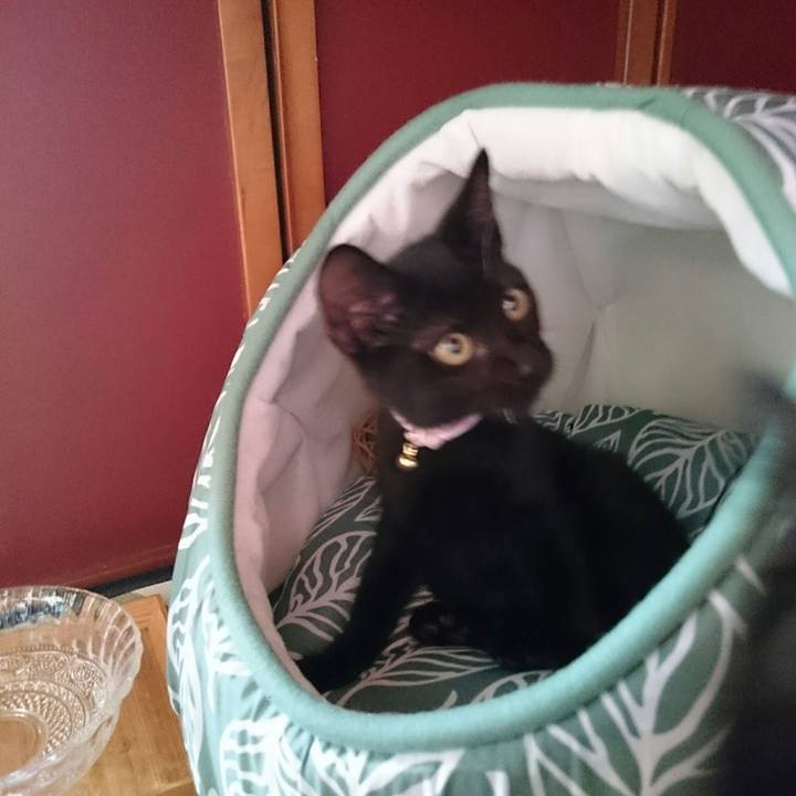 2ac6d6a3 852a 47f3 8cf9 e466270e3d58