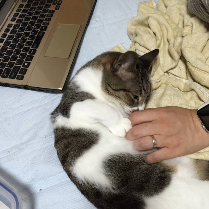 2ac6deb2 d6e3 4c46 91b2 8503e04ff36a