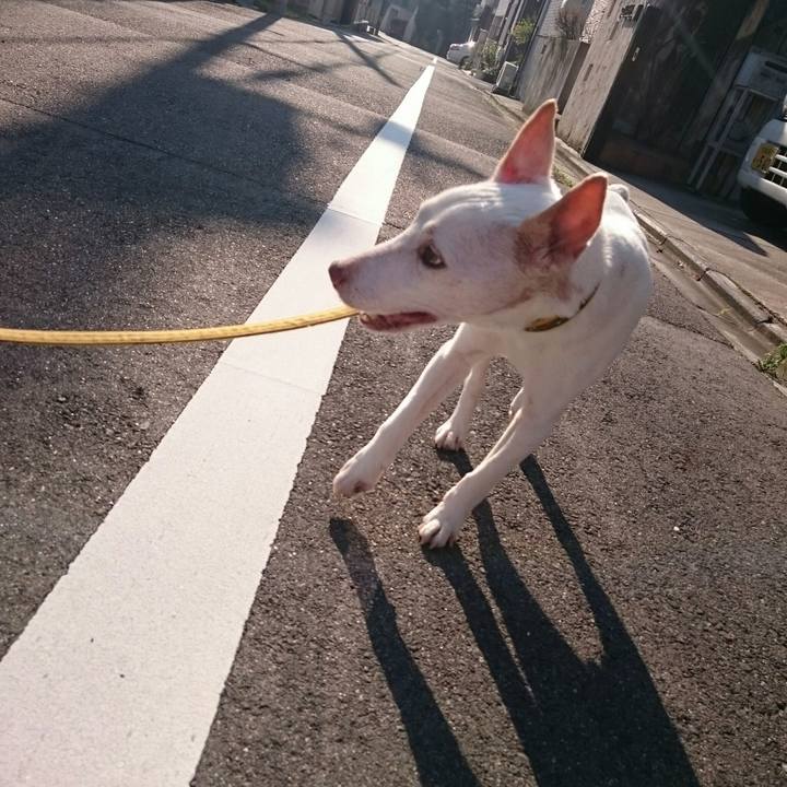 2ac719c5 0ea2 4373 b9b3 f1415f779729