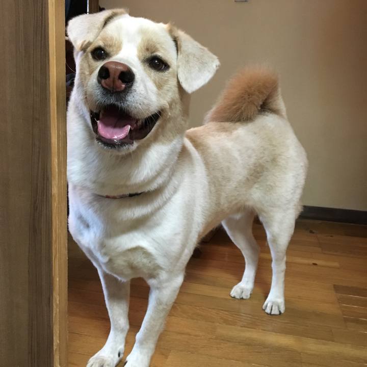 2ac73dbd 8cc2 4c1d 81dd 650bd2419f14