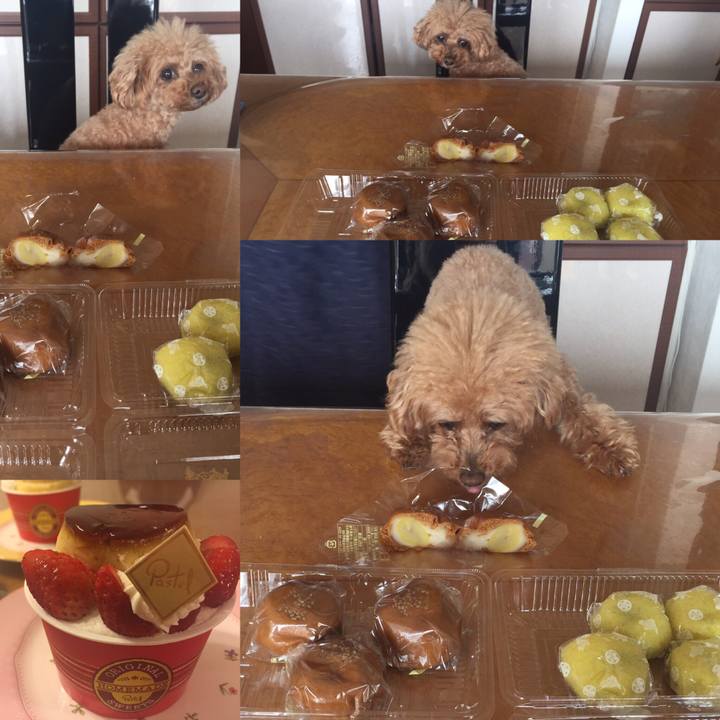 2ac7765d bd10 4b92 817c ed047ee77f08