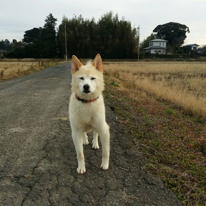 2ac7d976 a4da 4be5 bd17 69578c3ec111