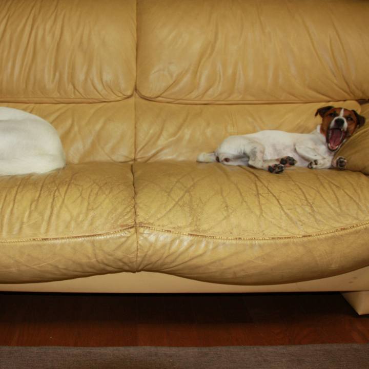 2ac8462a ab8f 4299 9154 e421701b3e7d