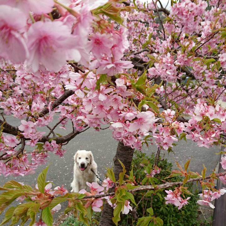 2ac8e32a bb8d 471e 9a01 169a54678f4a