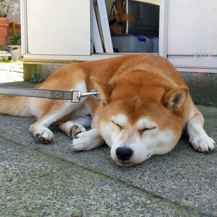 2ac9827a 5c7e 49c2 8992 70be6a799851